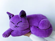 Load image into Gallery viewer, Custom cat toy from your picture