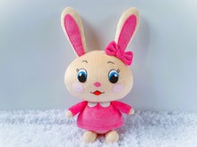 Load image into Gallery viewer, Custom Touni the rabbit plush and others
