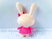 Load image into Gallery viewer, Custom Touni the rabbit plush and others
