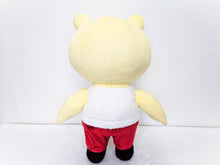 Load image into Gallery viewer, Custom Achuchones und Coco plushies
