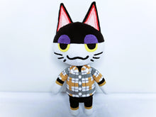 Load image into Gallery viewer, Custom Punchy the cat plush
