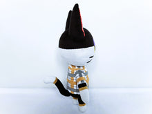 Load image into Gallery viewer, Custom Punchy the cat plush
