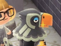Custom Avery the eagle plush