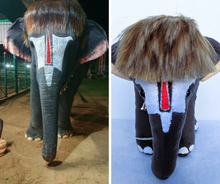 Load image into Gallery viewer, Custom animal plush from picture in a cartoon style
