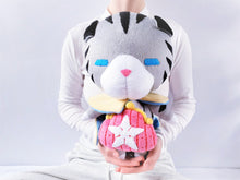 Load image into Gallery viewer, Chirithy the cat plush
