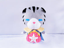 Load image into Gallery viewer, Chirithy the cat plush
